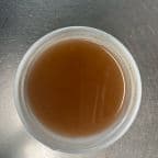 Best Duck Sauce in West Springfield, MA